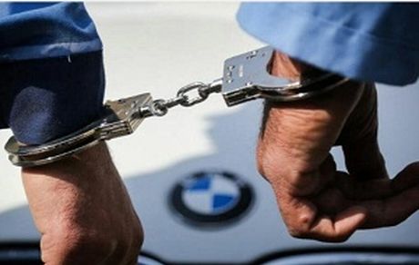 سرقت‌های سریالی بازیگر زن به تقلید از یک فیلم