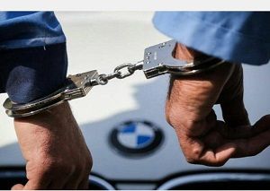 سرقت‌های سریالی بازیگر زن به تقلید از یک فیلم