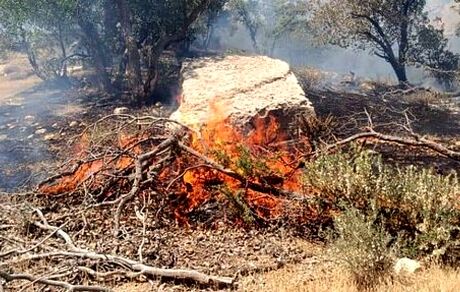 آتش‌سوزی در آرادکوه مهار شد