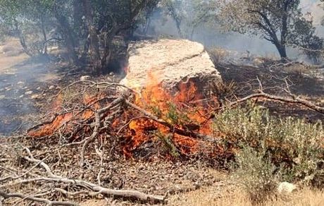 آتش‌سوزی در آرادکوه مهار شد