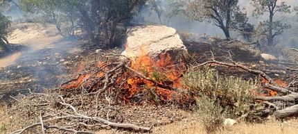 آتش‌سوزی در آرادکوه مهار شد