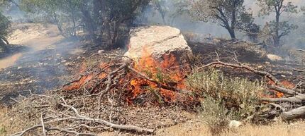آتش‌سوزی در آرادکوه مهار شد