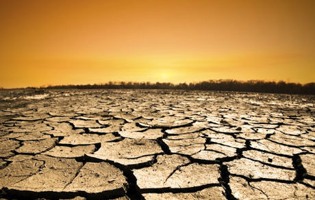 با تانکر آب نمی توان دام ها را سیراب کرد