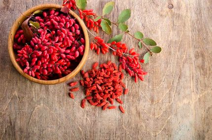 زرشک هم وارد بورس می‌شود