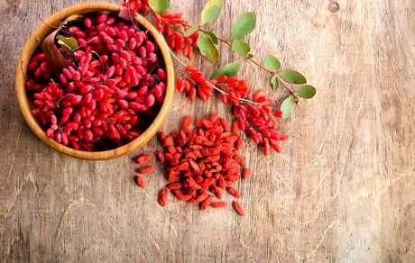 زرشک هم وارد بورس می‌شود