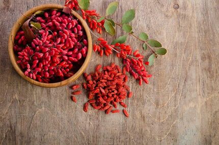 زرشک هم وارد بورس می‌شود