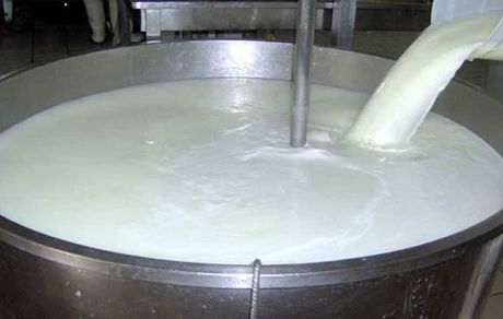 تولید شیر کاهش می‌یابد