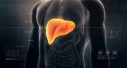 پاکسازی کبد با طبیعت