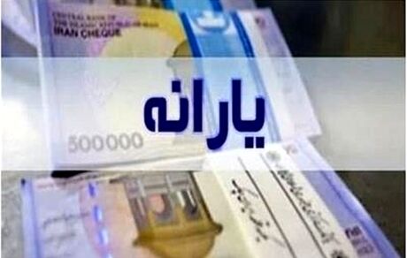 سخنگوی دولت: مردمی‌سازی یارانه‌ها قدرت خرید همه دهک‌ها را افزایش داد