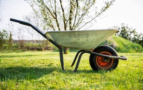 قیمت‌های نجومی بازار فرغون؛ ایرانی ۱ میلیون و ۸۰۰ هزار تومان؛ خارجی ۳ میلیون و ۷۰۰