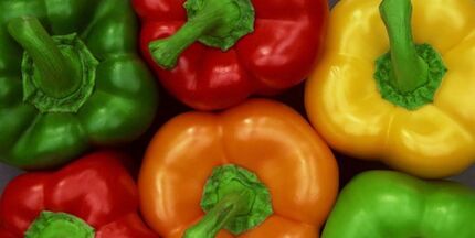  هیئت روسی برای نمونه گیری از محصولات گلخانه ای به ایران می آید
