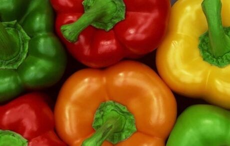  هیئت روسی برای نمونه گیری از محصولات گلخانه ای به ایران می آید