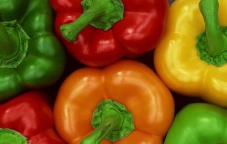  هیئت روسی برای نمونه گیری از محصولات گلخانه ای به ایران می آید