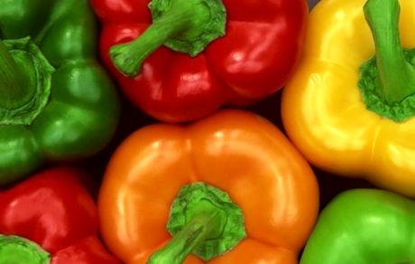  هیئت روسی برای نمونه گیری از محصولات گلخانه ای به ایران می آید
