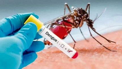 فوتی‌های تب دنگی در بنگلادش به ۱۶۰۶ نفر رسید
