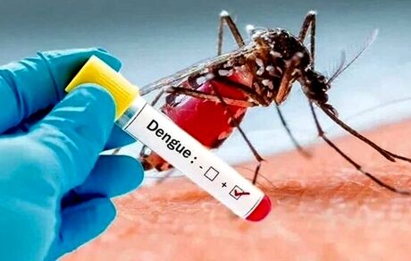 فوتی‌های تب دنگی در بنگلادش به ۱۶۰۶ نفر رسید
