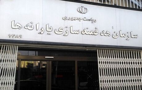 انتصاب سرپرست سازمان هدفمندسازی یارانه‌ها
