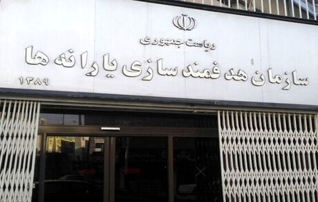 انتصاب سرپرست سازمان هدفمندسازی یارانه‌ها