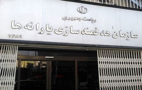 انتصاب سرپرست سازمان هدفمندسازی یارانه‌ها