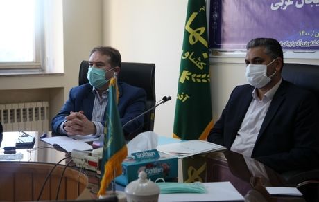 افزایش تقاضای گوشت مرغ در کشور/۲.۵ میلیون تن مرغ در سال تولید می شود