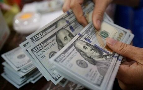 نرخ ارز کاهشی است/ نرخ‌ دلار در کانال‌ها واقعی نیست