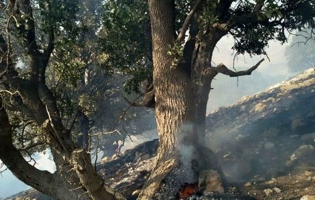 آتش سوزی خاییز مهار شد