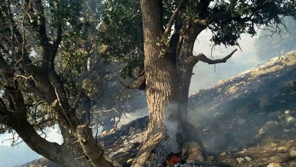 آتش سوزی خاییز مهار شد