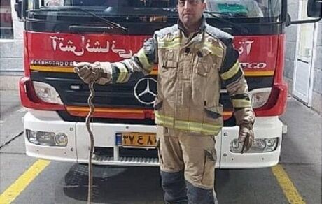 مار ۱.۵ متری مسافر نیسان آبی شهروند تهرانی