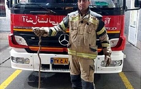 مار ۱.۵ متری مسافر نیسان آبی شهروند تهرانی