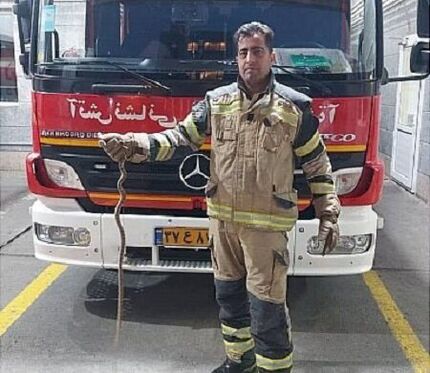 مار ۱.۵ متری مسافر نیسان آبی شهروند تهرانی