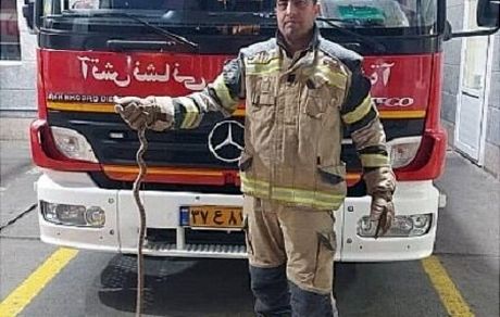 مار ۱.۵ متری مسافر نیسان آبی شهروند تهرانی
