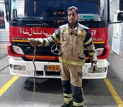مار ۱.۵ متری مسافر نیسان آبی شهروند تهرانی
