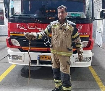 مار ۱.۵ متری مسافر نیسان آبی شهروند تهرانی