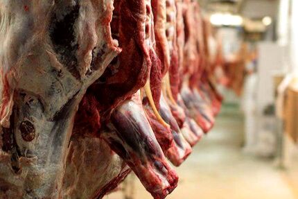 قیمت گوشت منطقی است