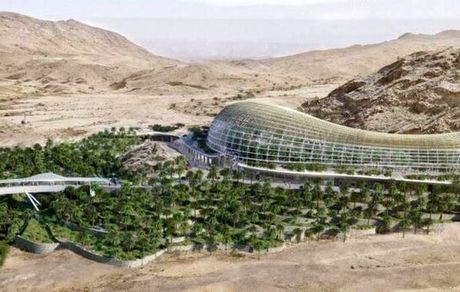 خطرات جدی برای باغ گیاه شناسی در پی ساخت و ساز در اطراف آن