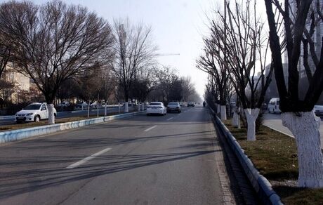نخستین خیابان گل در تبریز احداث شد