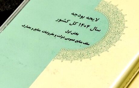آغاز بررسی کلیات لایحه بودجه سال ۱۴۰۴ در کمیسیون تلفیق