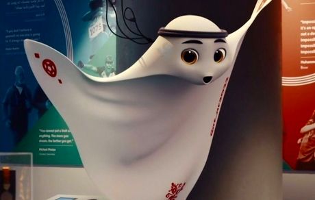 مفهوم لعیب؛ نماد جام‌جهانی قطر ۲۰۲۲ چیست؟