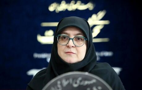 سخنگوی دولت: امنیت دانشجویان وظیفه دولت است