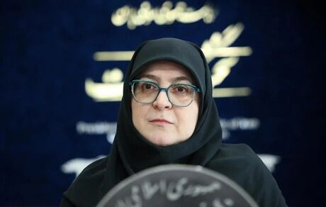 سخنگوی دولت: امنیت دانشجویان وظیفه دولت است