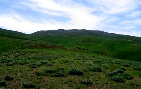 نامه شورای شبکه مردم نهاد منابع طبیعی به شورای نگهبان درباره یک طرح مجلس