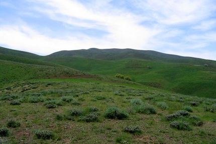 نامه شورای شبکه مردم نهاد منابع طبیعی به شورای نگهبان درباره یک طرح مجلس