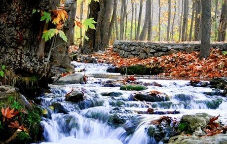 دره چهلمیر در استان خراسان رضوی تعطیل شد