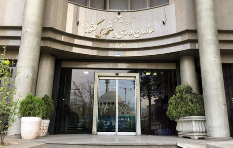 دلیل استخدام نشدن نیروهای شرکتی اعلام شد