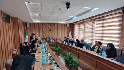 وضعیت حقوق بشر در داخل ایران به صورت مکتوب منتشر خواهدشد