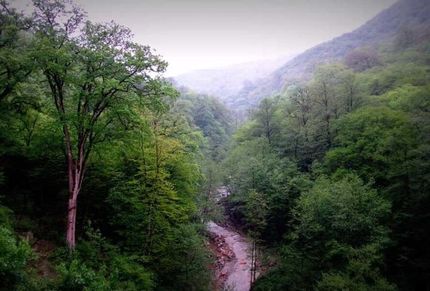 نجات ۳ جوان اهل اراک ناپدید شده در جنگل‌های الیمالات شهرستان نور 