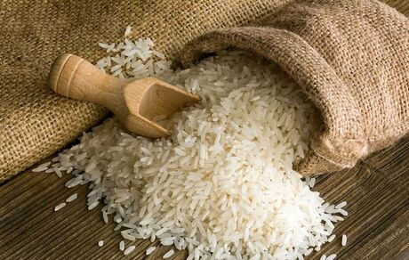 قیمت تضمینی انواع برنج برای سال زراعی ۱۴۰۴-۱۴۰۳ ابلاغ شد