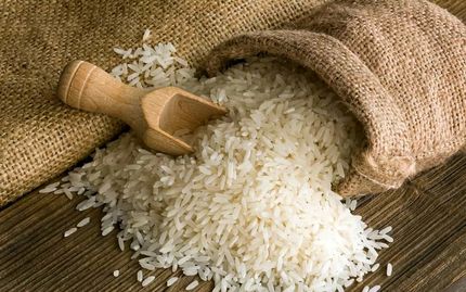 قیمت تضمینی انواع برنج برای سال زراعی ۱۴۰۴-۱۴۰۳ ابلاغ شد