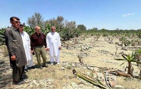 خسارت ۲۱ هزار میلیارد ریالی سیلاب به کشاورزی استان سیستان و بلوچستان