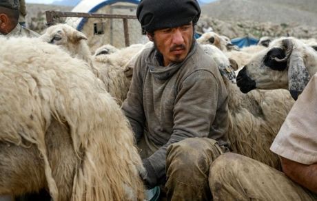 طالبان ده‌ها هزار افغان را برای کار به خارج از افغانستان می‌فرستد